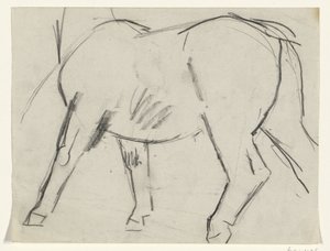 Hevosen runko tekijältä Leo Gestel