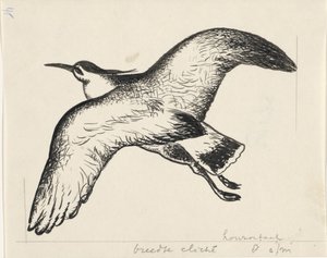 Lentävä lintu tekijältä Leo Gestel