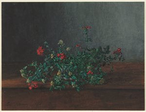 Natura morta amb flors silvestres finlandès tekijältä Léon Bonvin