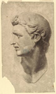 Piirustus, Klassisen miehen pään tutkimus (kipsivalu), 1881-92. tekijältä Leon Dabo