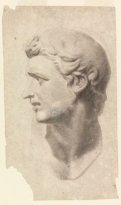 Estudi d