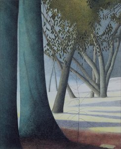 Pyökkirungot tekijältä Leon Spilliaert