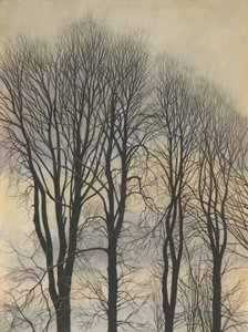 Puu taivaalla tekijältä Leon Spilliaert