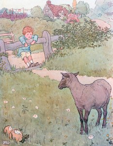 Baa, Baa, musta lammas