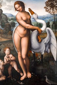 Leda ja joutsen, öljy kankaalle tekijältä Leonardo da (after) Vinci