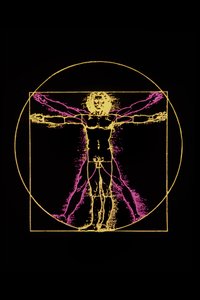 Leonard da Vincin Vitruvian Man, n. 1970 tekijältä Leonardo da (after) Vinci