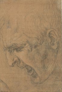 Huutavan miehen pää tekijältä Leonardo da (follower of) Vinci