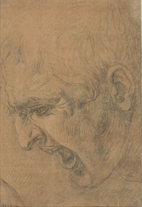 Huutavan miehen pää tekijältä Leonardo da Vinci (follower of)