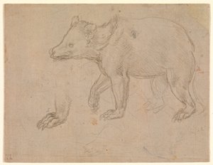 Kävelevä karhu tekijältä Leonardo da Vinci