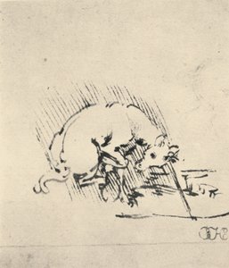 Yksisarvinen, joka kastaa sarvinsa veteen, c1480 1945 tekijältä Leonardo da Vinci