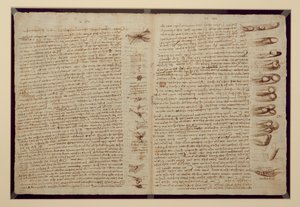 Sivu Codex Leicesteristä, 1508-12 (seepiamuste pellavapaperille) tekijältä Leonardo da Vinci