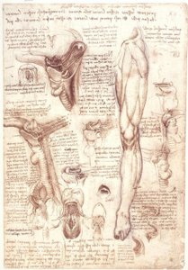 Anatomia: Zunge, Rachen, Kehlkopf und Speiseröhre tekijältä Leonardo da Vinci