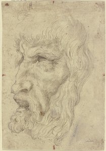 Antiikkinaamioita vasemmalla tekijältä Leonardo da Vinci