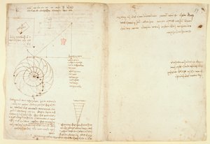 Arundel 263 f.44v, f.59 Luonnos silmästä ja nenästä kasvot profiilissa; muistiinpanoja vedestä, "Codex Arundel" (kynä ja muste paperille) tekijältä Leonardo da Vinci