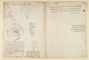 Arundel 263, f.44v, f.59 Luonnos silmästä ja nenästä kasvot profiilissa; muistiinpanoja vedestä, "Codex Arundel" (kynä ja muste paperille) tekijältä Leonardo da Vinci
