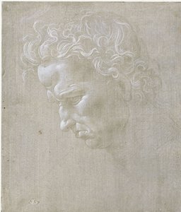 Miehen profiilikuva tekijältä Leonardo da Vinci