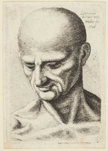 Kalju mies tekijältä Leonardo da Vinci