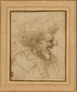 Karikatyyri miehestä, jolla on pusikkoiset hiukset tekijältä Leonardo da Vinci