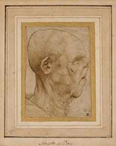 Karikatyyri vanhan miehen päästä, profiilissa oikealla, n. 1507 tekijältä Leonardo da Vinci