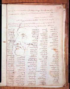Codex Trivulziano, Leonardo da Vinci (Leonardo da Vinci) (1452 - 1519) - Trivulziana-kirjasto, Milano tekijältä Leonardo da Vinci