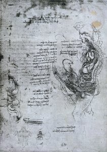Puolisekoitettu mies ja nainen, faksikopio tekijältä Leonardo da Vinci