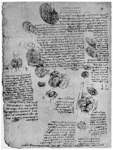 Kaavio veripyörteestä sydämessä, 1400-luvun loppu tai 1500-luvun alku 1954 tekijältä Leonardo da Vinci