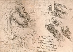 Piirustus, joka havainnollistaa kiharoissa putoavia hiuksia, c1472-c1519 1883 tekijältä Leonardo da Vinci