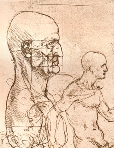 Piirros, joka havainnollistaa teoriaa ihmishahmon mittasuhteista, c1472-c1519 1883 tekijältä Leonardo da Vinci