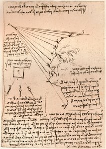 Piirustus miehen päästä, havainnollistaa maalauskäytäntöä, c1472-c1519 1883 tekijältä Leonardo da Vinci