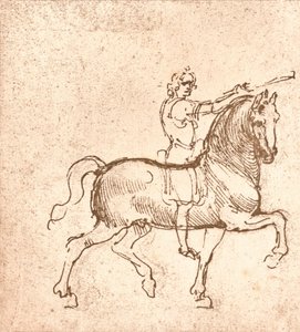 Piirustus kävelyhevosesta, c1472-c1519 1883 tekijältä Leonardo da Vinci