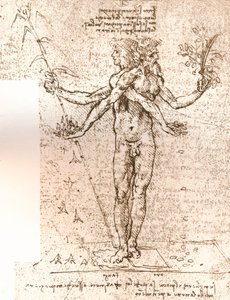 Piirustus allegorisesta koostumuksesta, c1472-c1519 1883 tekijältä Leonardo da Vinci