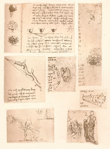 Viisi piirustusta havainnollistavat maisemamaalauksen elementtejä, c1472-c1519 1883 tekijältä Leonardo da Vinci