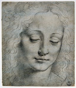 Giovanni Antonio Boltraffio (Beltraffio) (1467 - 1516) (Leonardo da Vincin tunnetuin oppilas): pojan lehtikruunun pää Verrocchion tiellä, GDSU 425 E tekijältä Leonardo da Vinci