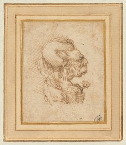 Vanhan naisen groteski pää tekijältä Leonardo da Vinci
