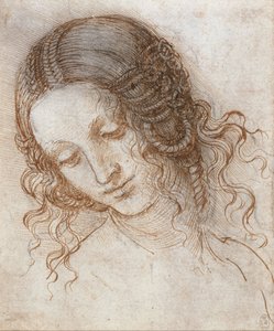 Ledan pää tekijältä Leonardo da Vinci