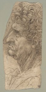 Miehen pää profiilissa, kasvot vasemmalle päin tekijältä Leonardo da Vinci