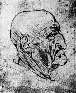 Vanhan miehen pää, 1913 tekijältä Leonardo da Vinci