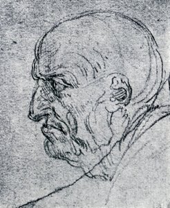 Vanhan miehen pää, 1913 tekijältä Leonardo da Vinci