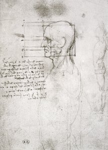 Vanhan miehen pää profiilissa, faksikopio (kynä ja muste paperille) tekijältä Leonardo da Vinci