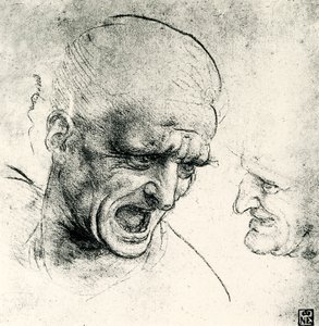 Pään tutkimukset tekijältä Leonardo da Vinci