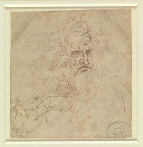 Synkän näköisen harmaapäisen miehen pää, jossa näkyy oikea käsivarsi tekijältä Leonardo da Vinci