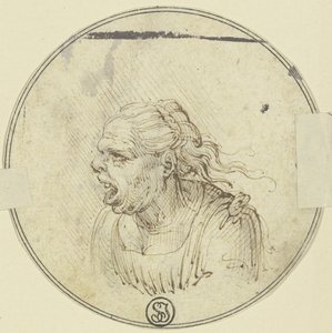 Karikatyyri naisesta, suu auki, rintakuva, profiilista vasemmalle tekijältä Leonardo da Vinci
