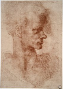 Leonardo da Vinci (Leonardo da Vinci) (1452 - 1519): Karikatyyrimuotokuva nuoresta miehestä (Imagine) tekijältä Leonardo da Vinci