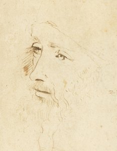 Leonardo da Vincin muotokuva, noin 1518. tekijältä Leonardo da Vinci,