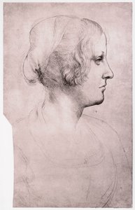 Muotokuva tytöstä, jolla on lippalakki, 1493-1495 tekijältä Leonardo da Vinci