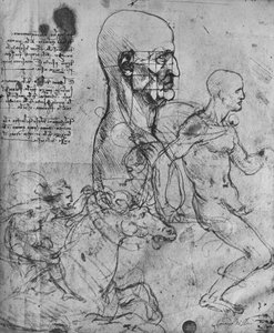 Miehen profiili ratsasmiesten suhteesta ja opiskelusta, c1480 1945 tekijältä Leonardo da Vinci