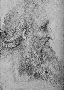 Vanhan, parrakkaan miehen profiili oikealla, c1480 1945 tekijältä Leonardo da Vinci