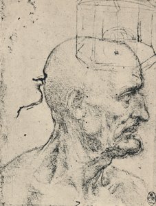 Kaljuun miehen oikealla puolella oleva profiili, c1480 1945 tekijältä Leonardo da Vinci