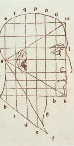 Ihmisen pään suhteellisuustutkimus tekijältä Leonardo da Vinci