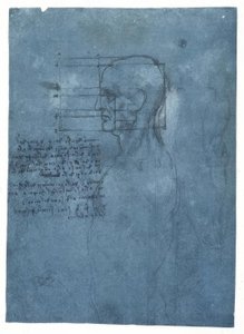 Proportionsstudie eines männlichen Kopfes im Profil tekijältä Leonardo da Vinci